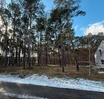 Naturbelassenes Baugrundstück in Seenähe - Teupitz