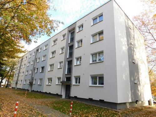 Foto - 3 Zimmer Etagenwohnung zur Miete in Bochum