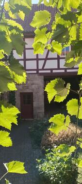 Foto - Erdgeschoßwohnung in Bad Königshofen im Grabfeld zur Miete