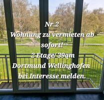 Wohnung Wellinghofen 39qm2 zu vermieten ab sofort! - Dortmund Hörde