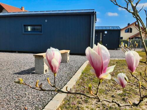 Foto - 2 Zimmer Etagenwohnung in Landau in der Pfalz