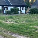 Foto - 2 Zimmer Reihenhaus zum Kaufen in Bremervörde