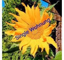 2 Zimmer Whg mit Balkon ab 01.01.2026 - KEINE HUNDEHALTUNG - Herne Wanne