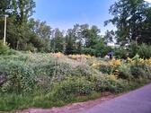 Foto - Einfamilienhaus zum Kaufen in Wiehl