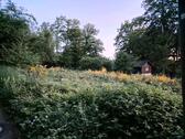 Foto - Einfamilienhaus in Wiehl