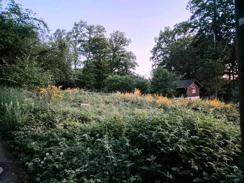 Foto - Einfamilienhaus in Wiehl