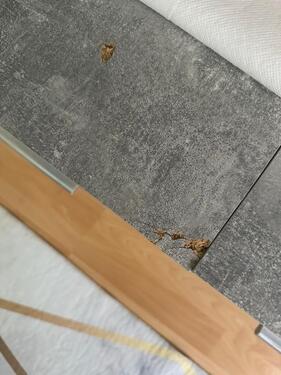 Foto - Wohnzimmer,schränke - 60,00&nbsp;EUR Kaltmiete, ca.&nbsp; 4,00&nbsp;m&sup2;