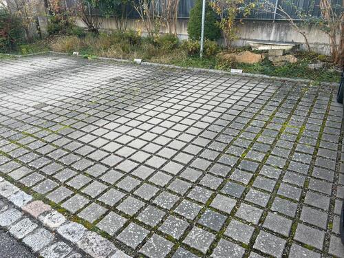 Foto - andere in Lörrach