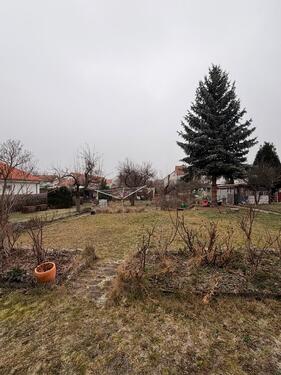 Foto - 3 Zimmer Reihenhaus zum Kaufen in Thale