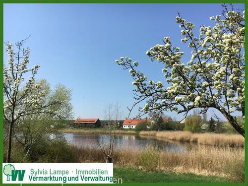 Foto - Maisonettwohnung 2,5 Zimmer Wohnung in ländlicher Randlage Magdeburg Ostelbien