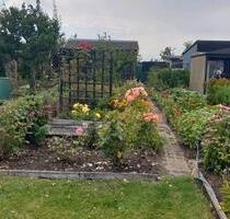 Großzügiger klein Graten mit Laube in Frankfurt Oder - Jacobsdorf