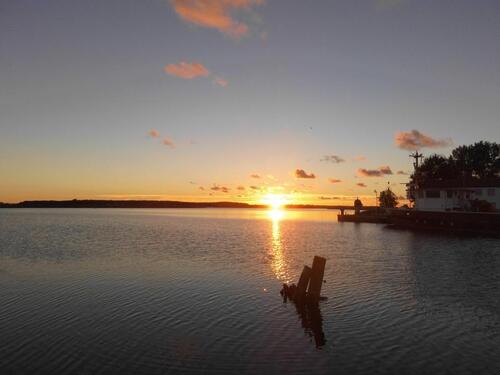 Foto - Urlaub auf UsedomOstsee Termine vom 13.06 - 04.07 frei!