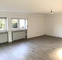 Schöne helle Souterrain Wohnung, kl.Garten, in 55546 Biebelsheim - Hackenheim