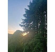 Grundstück zur Pacht - 250,00&nbsp;EUR Kaltmiete, ca.&nbsp; 0,00&nbsp;m&sup2; in Siegbach (PLZ: 35768)