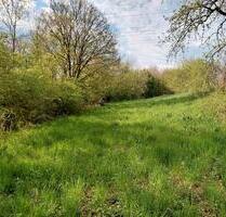 Wiese, Freizeitgrundstück, Stückle - Neuenstadt am Kocher