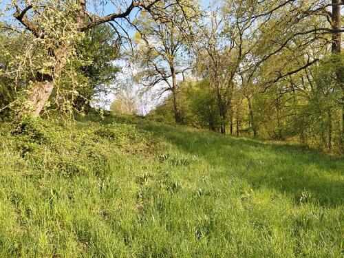 Foto - Grundst&uuml;ck in Neuenstadt am Kocher