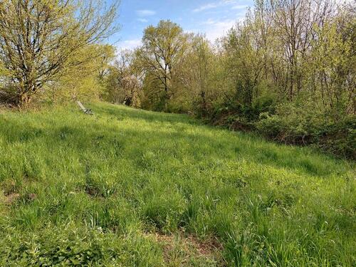 Foto - Grundst&uuml;ck in Neuenstadt am Kocher zur Miete