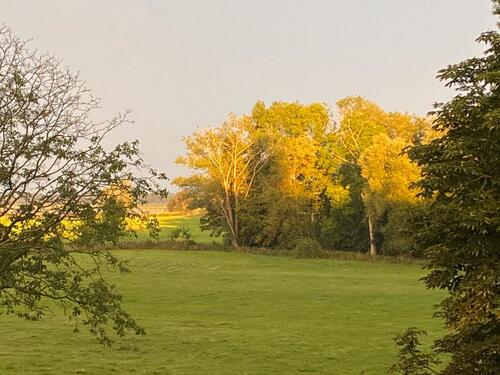 Foto - 3 Zimmerwohnung 85qm mit Blick auf Landschaftsschutzgebiet