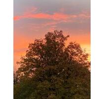 Laden im Karoviertel Marktstr. zu vermieten - Hamburg Altona-Nord