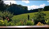 Foto - Helle 4 Zimmer Dachgeschosswohnung mit Balkon *befristet*