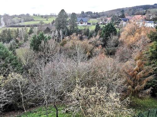 Foto - Dachgeschoßwohnung in Seibersbach zur Miete