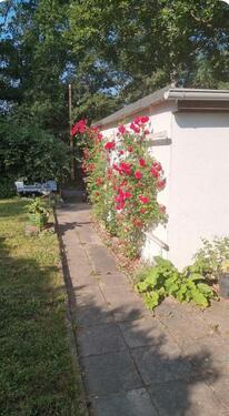 Foto - Bungalow in Pretzien (Eigentum)