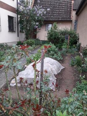 Foto - Einfamilienhaus zum Kaufen in Burgsinn