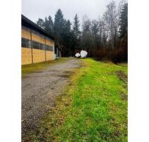 Stellplatz zu vermieten in Moos am Bodensee