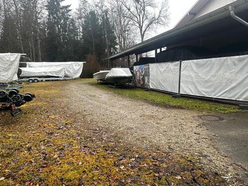 Foto - andere in Moos