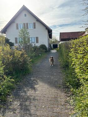 Foto - Einfamilienhaus in Hahnbach zum Kaufen