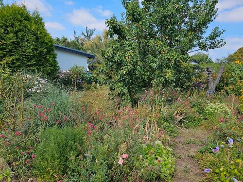 Foto - Grundst&uuml;ck zur Miete in Magdeburg