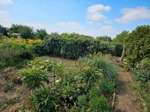 Foto - Grundst&uuml;ck in Magdeburg