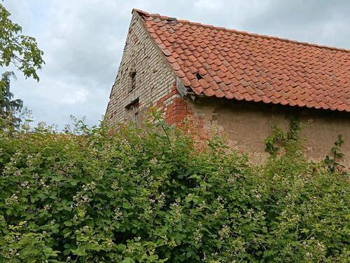 Foto - 12 Zimmer Mehrfamilienhaus, Wohnhaus zum Kaufen in Arendsee (Altmark)
