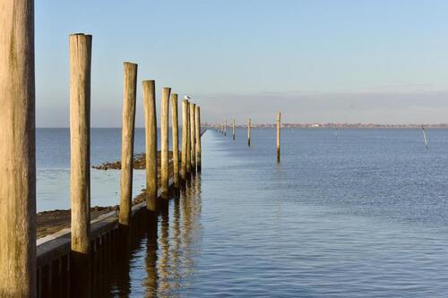Foto - andere zur Miete in Dornum