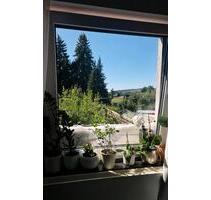 Kleine gemütliche 2-Zimmer-Wohnung zu vermieten - Solms