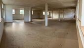 Foto - Büro, Lager, Produktion, Handwerksbasis, Versandhandel, 646m²