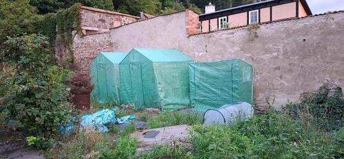 Foto - Einfamilienhaus in Bad Freienwalde (Oder) zum Kaufen