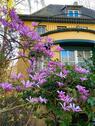 Foto - 5.5 Zimmer Einfamilienhaus zum Kaufen in Hamm