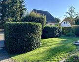 Foto - Einfamilienhaus in Schönwalde-Glien zum Kaufen