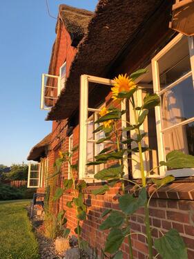 Foto - andere in Eutin