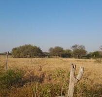 Investitionschance im Herzen Südamerikas- Paraguay - Germering