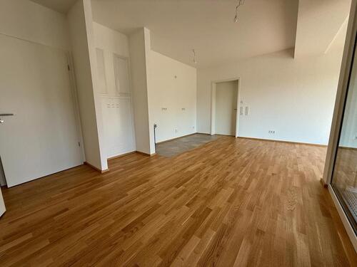 Foto - 2 Zimmer Terrassenwohnung in Singen (Hohentwiel)