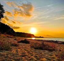 gemütliche Ferienwohnung an der Ostsee - Oldenburg in Holstein