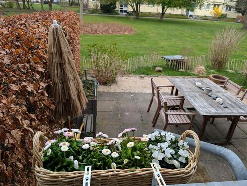 Foto - 4 Zimmer Wohnung mit Loggia, EBK, Badewanne, Erdgeschoss mit Garten, Stellplatz, ohne Einbauküche