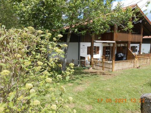 Foto - andere in Regen