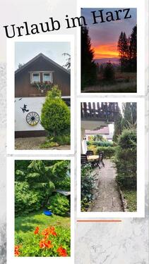 Foto - Urlaub mit Hund - Ferienwohnung im Harz