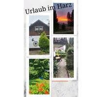 Urlaub mit Hund - Ferienwohnung im Harz - Harz (LK Goslar) Bergstadt Altenau-Schulenberg i.O.