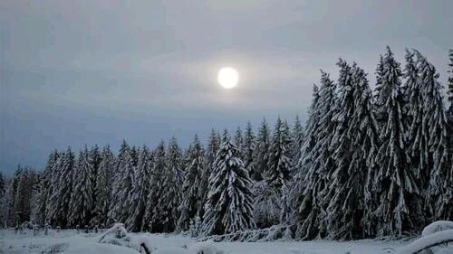 Foto - andere zur Miete in Harz (LK Goslar)