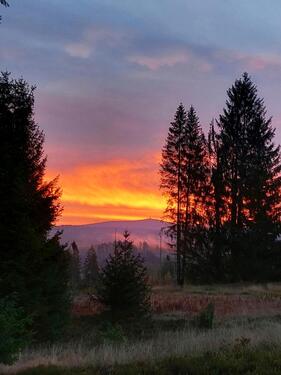 Foto - andere in Harz (LK Goslar)