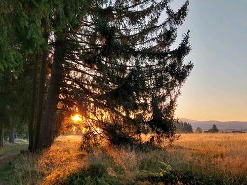 Foto - andere in Harz (LK Goslar) zur Miete